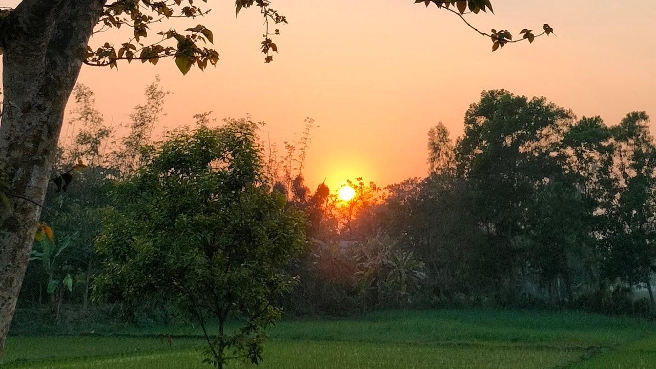 সরাসরি লাইভ কুরআন তেলাওয়াত