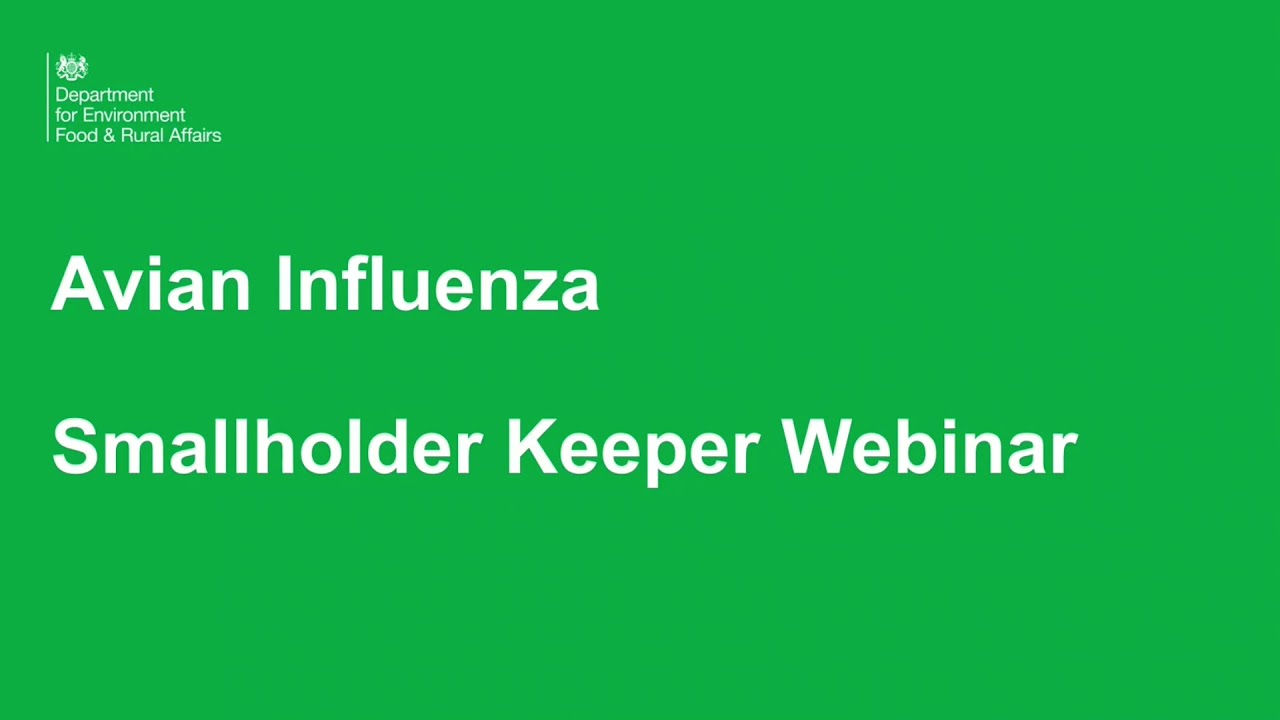 Bird Flu (Avian Influenza) Smallholder Keeper Webinar
