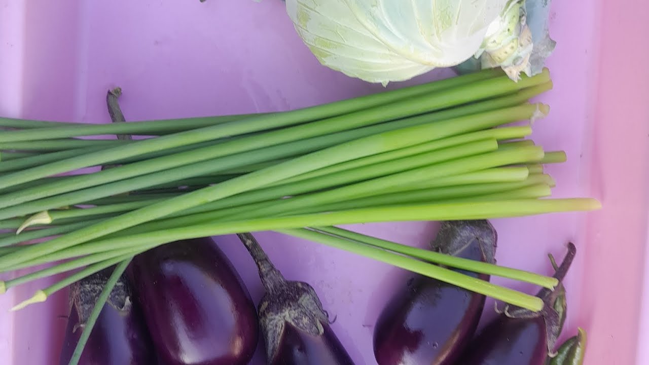 Chhat ka organic vegetables 