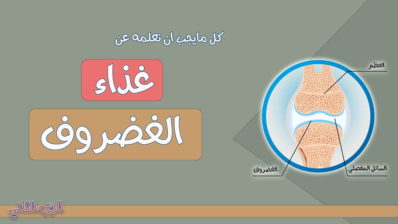 كل مايجب ان تعلمه عن الغضروف و غذائه ! لا علاج دوائي و لا مكملات غذائية. غذاء مجاني يحتاج 10 دقائق