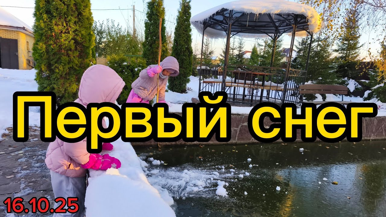 Первый снег. Зимние забавы. Палка - лучшая игрушка на все времена. 🔥