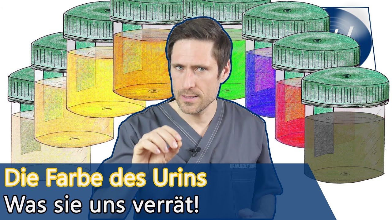 Urin: Hell, farbig oder dunkel! Auf diese Urinfarben sollten Sie achten wenn Sie pinkeln!