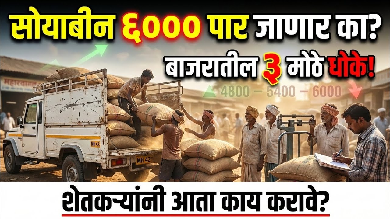 सोयाबीन 6500 पार जाणार का? आजचा महाराष्ट्र बाजारभाव विश्लेषण | 3 मोठे धोके! Soybean bajar bhav today