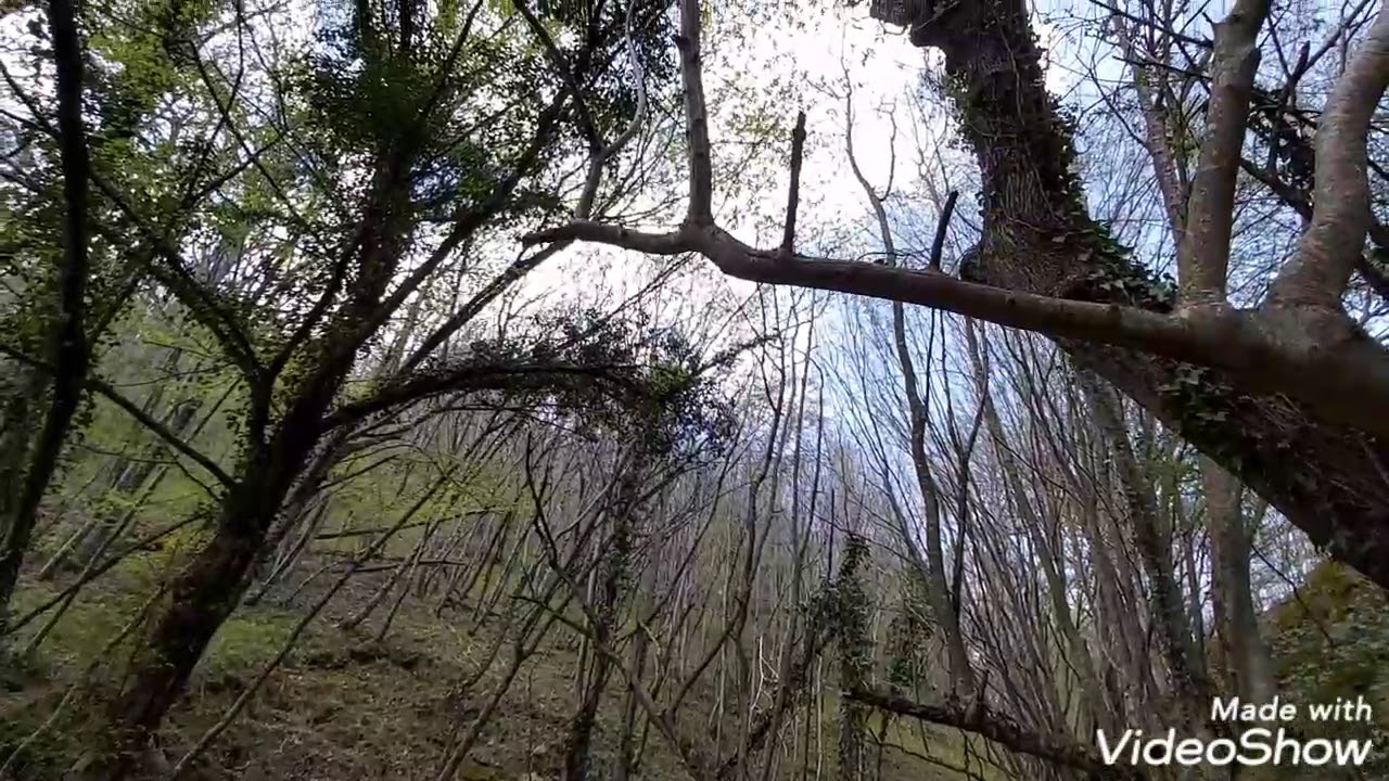 Sivriler/Kırklareli