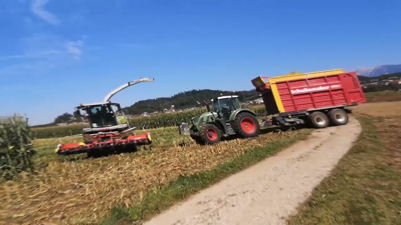 Siliranje koruze/Corn silage