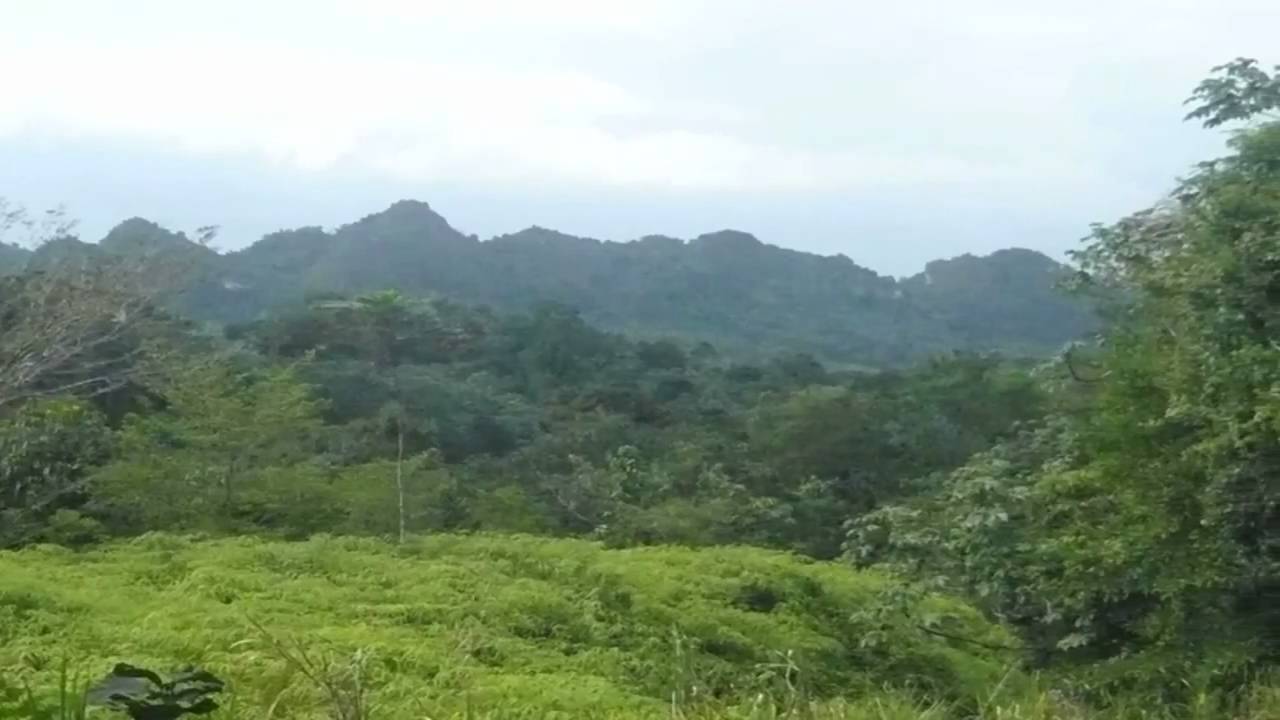 PARAISO PROMETIDO - DRACO