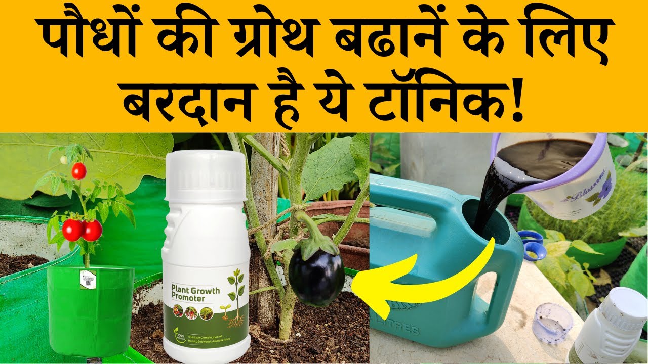 पौधों की ग्रोथ बढ़ाने के लिए लिक्विड प्लांट ग्रोथ फ़र्टिलाइजर, Plant Growth Promoter Liquid Fertilizer