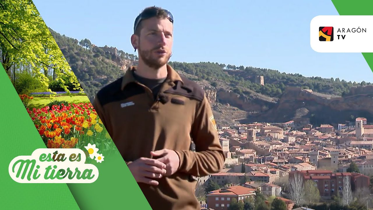 Así ha cambiado el paisaje de Daroca