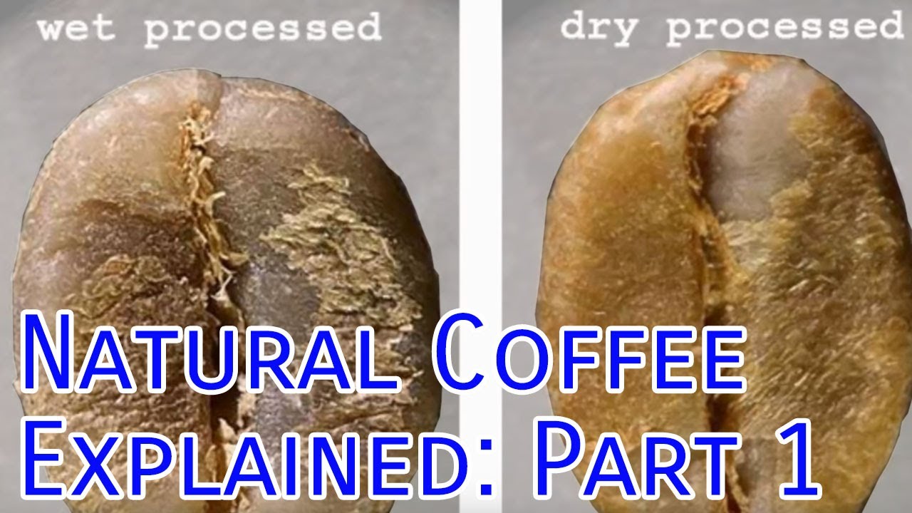 Natural Coffee Explained: Part 1