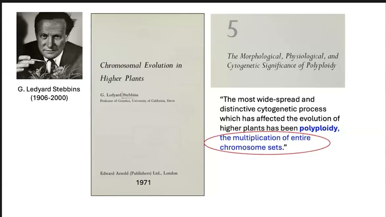 Jeff J. Doyle: Polyploidy in the post-genomic era