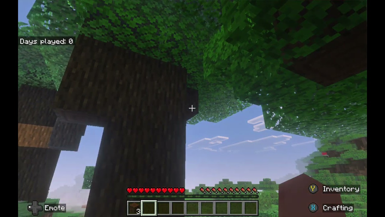 My Neice Plays Minecraft