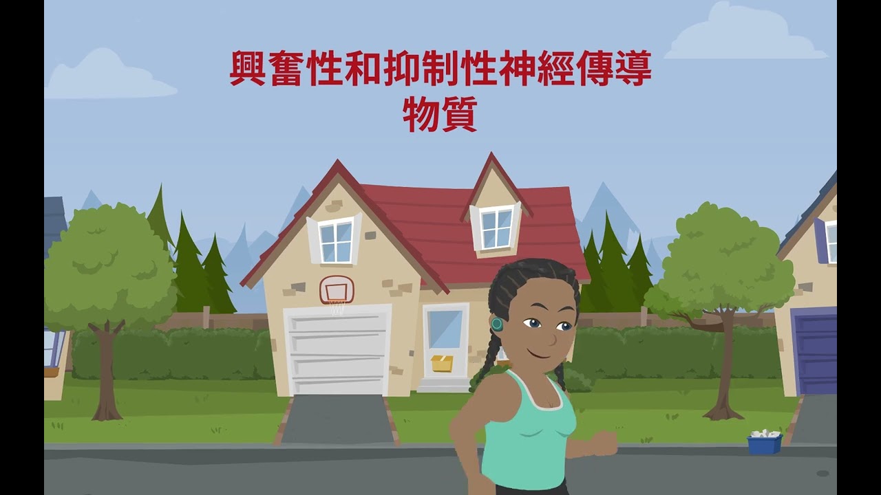 基礎心理學：神經元和突觸傳遞