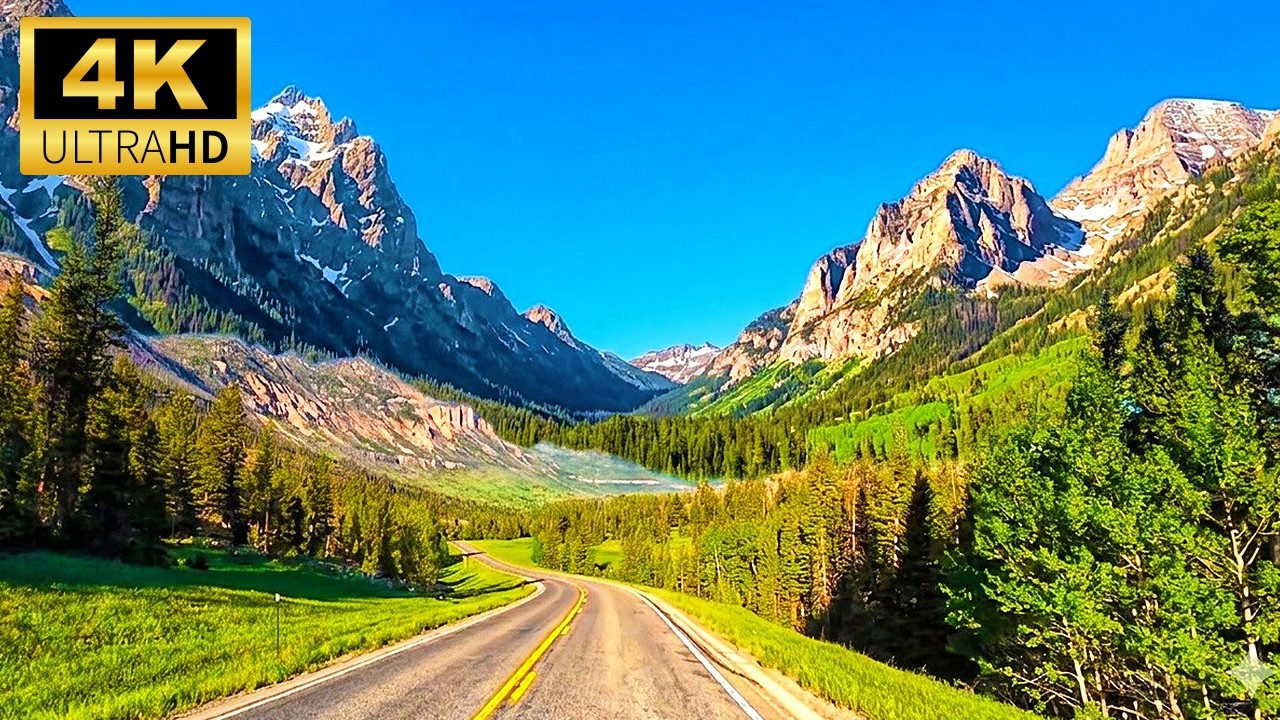 Yellowstone to Beartooth Highway Complete Scenic Drive | Wyoming to Montana Road Trip in 4K