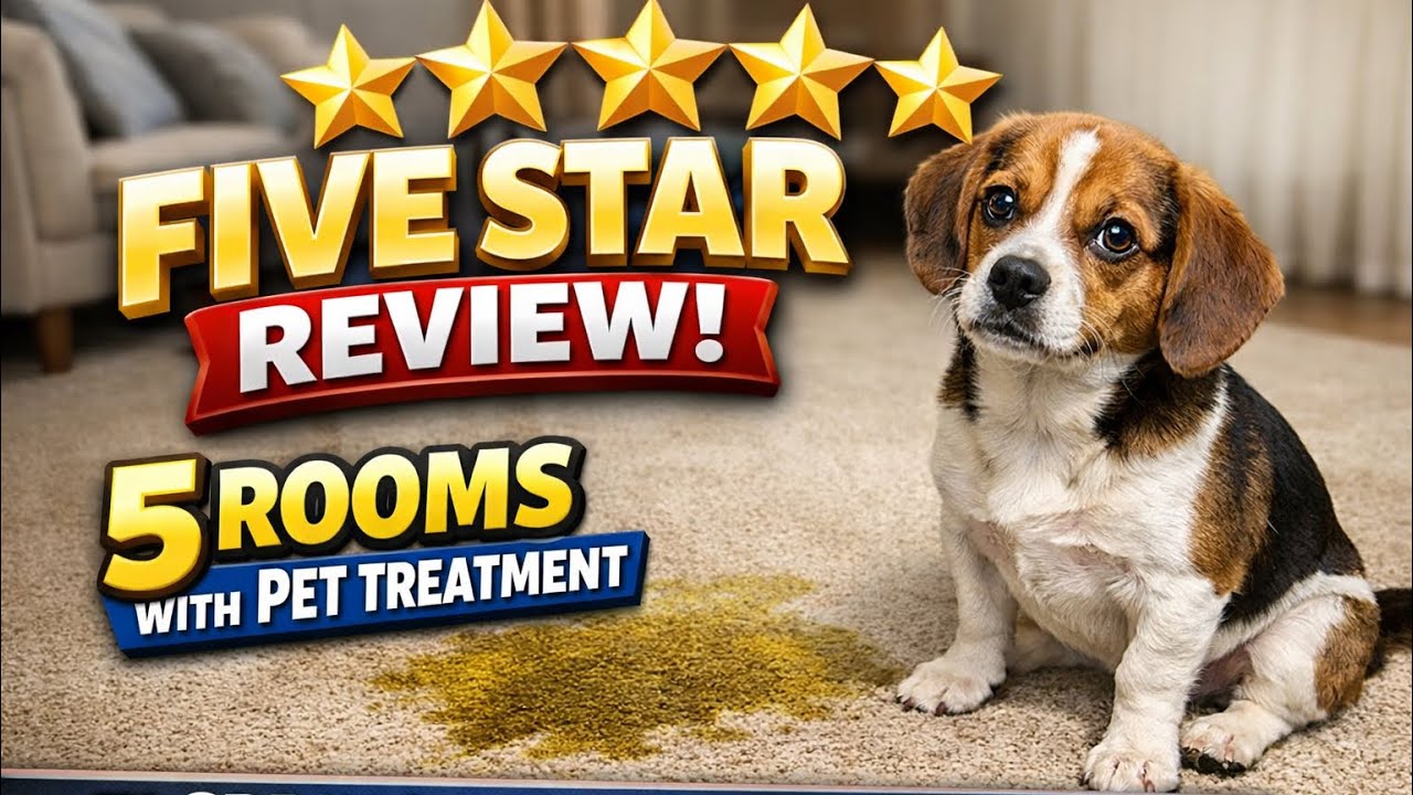 Spring Lake, NC five rooms with pet treatment 2/19/2026