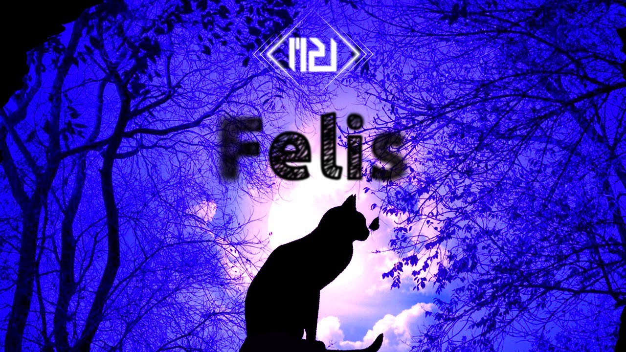 M2U - Felis 『Official Track』 -Arcaea-