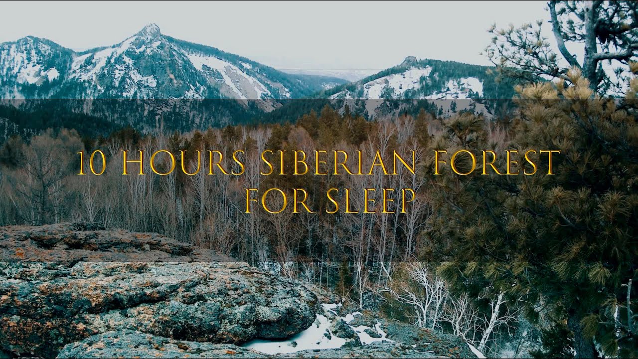 10 Hours Sounds of the Siberian Forest for Sleep, Work, Relaxation and Meditation ASMR