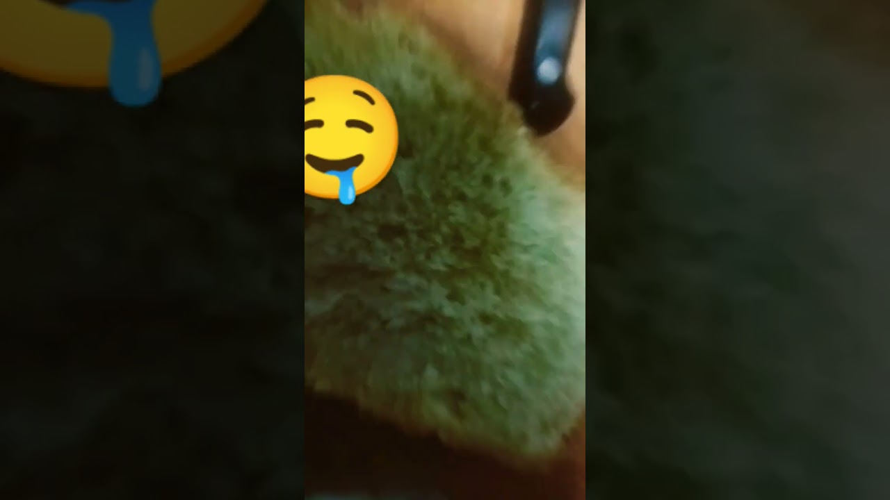 Это сижа