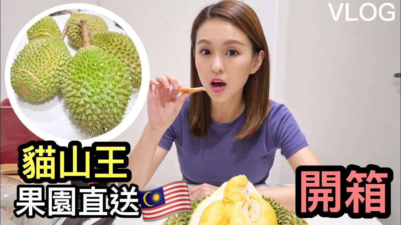 【馬來西亞榴槤】貓山王榴槤園直送香港【開箱】