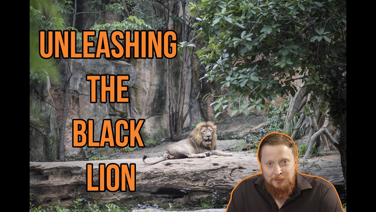 Chess Stream #71 Unleashing the Black Lion in the wild!