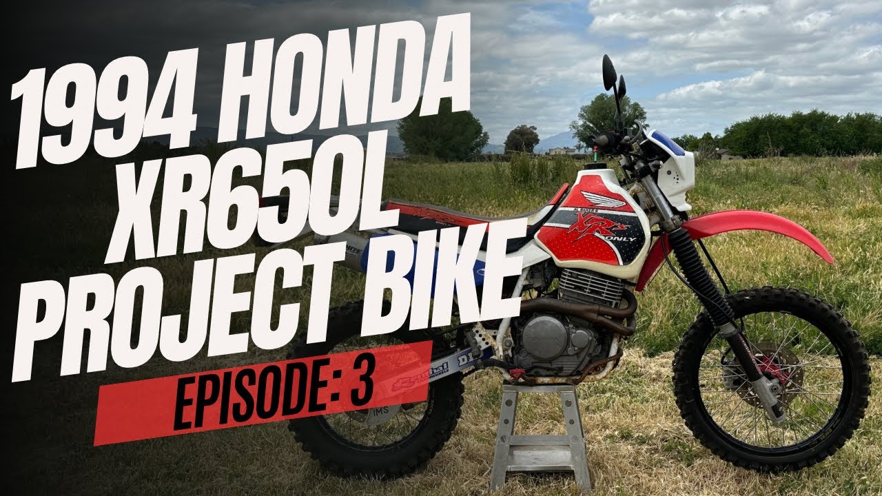 1994 Honda XR650L | Project Bike | Checking The Countershaft Splines… How Bad Are They?