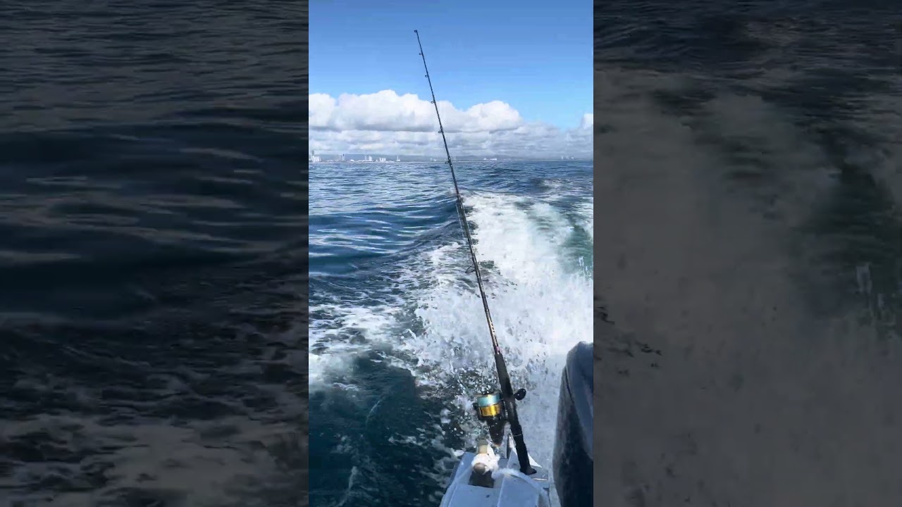 Deep Sea Fishing 🎣 Gold Coast 📍Australia 