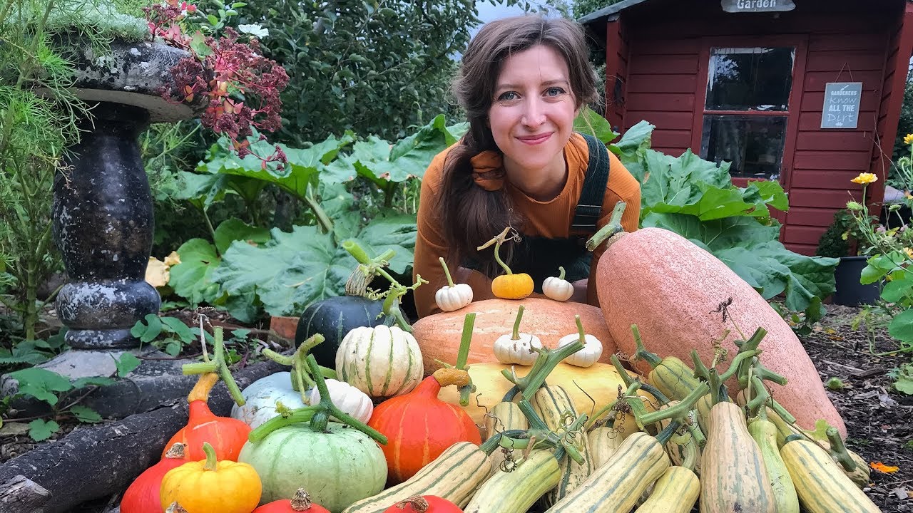 September Vlog & Allotment Tour / Homegrown Garden