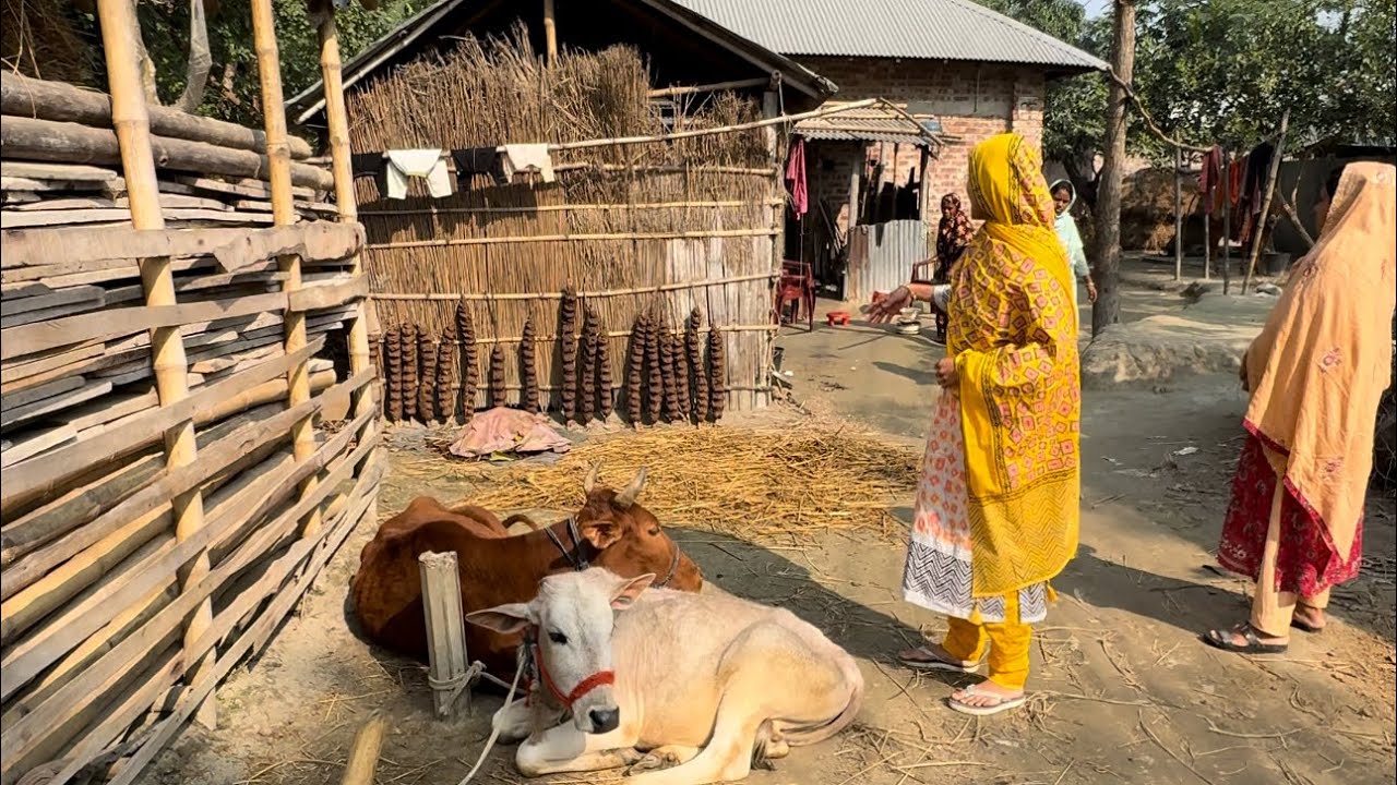 আমার বাপের ছোট্ট কুড়ে ঘর