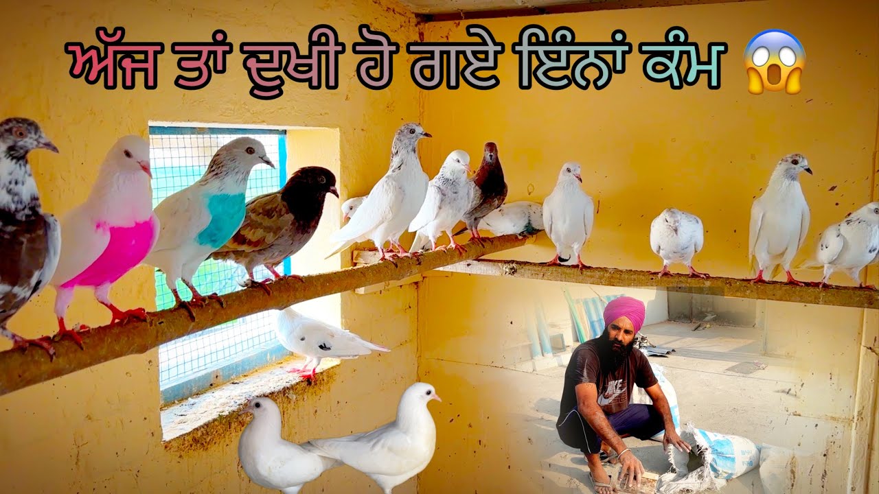 ਅੱਜ ਤਾਂ ਦੁਖੀ ਹੋ ਗਏ ਇੰਨਾਂ ਕੰਮ 😱