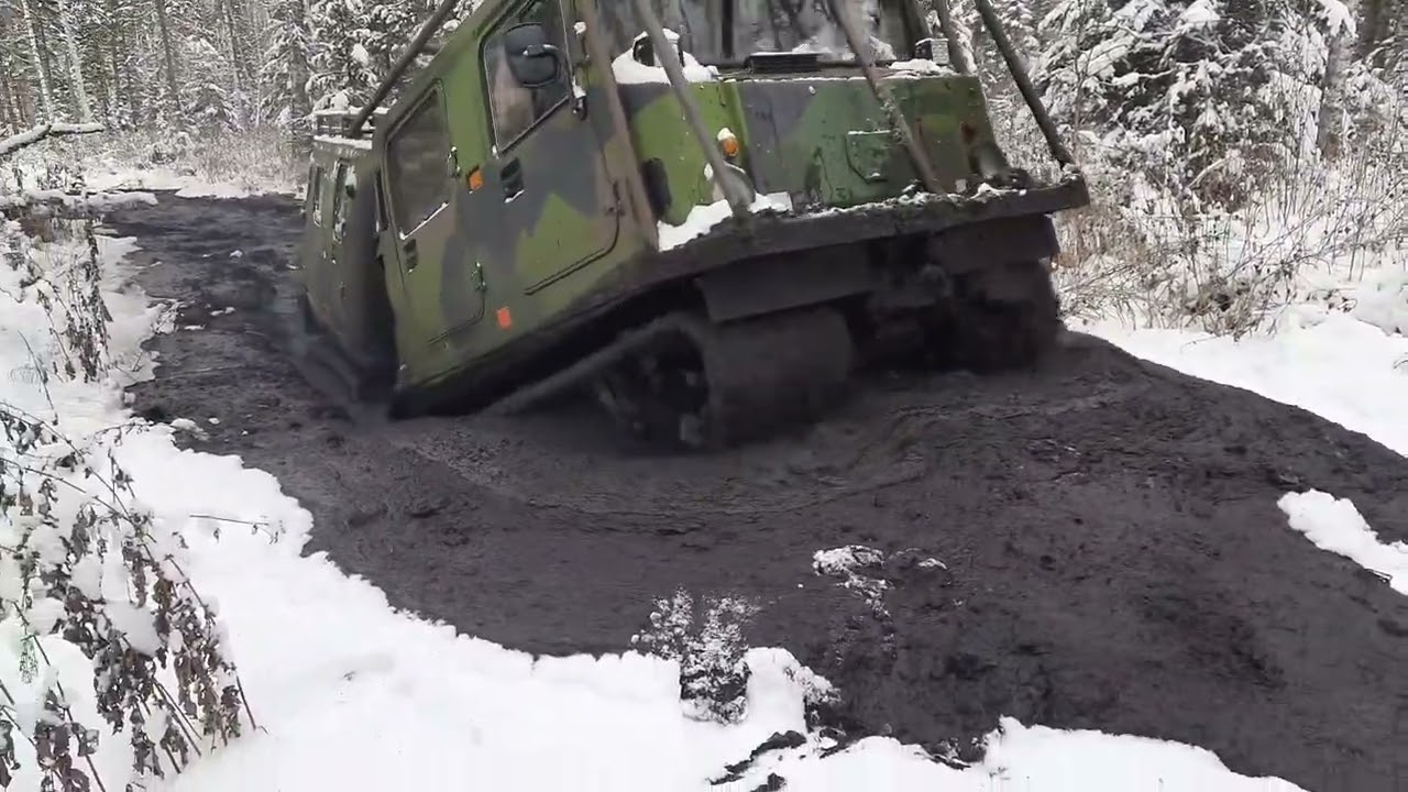 Bandvagn 206 (BV-206 &laquo;Лось&raquo;) 