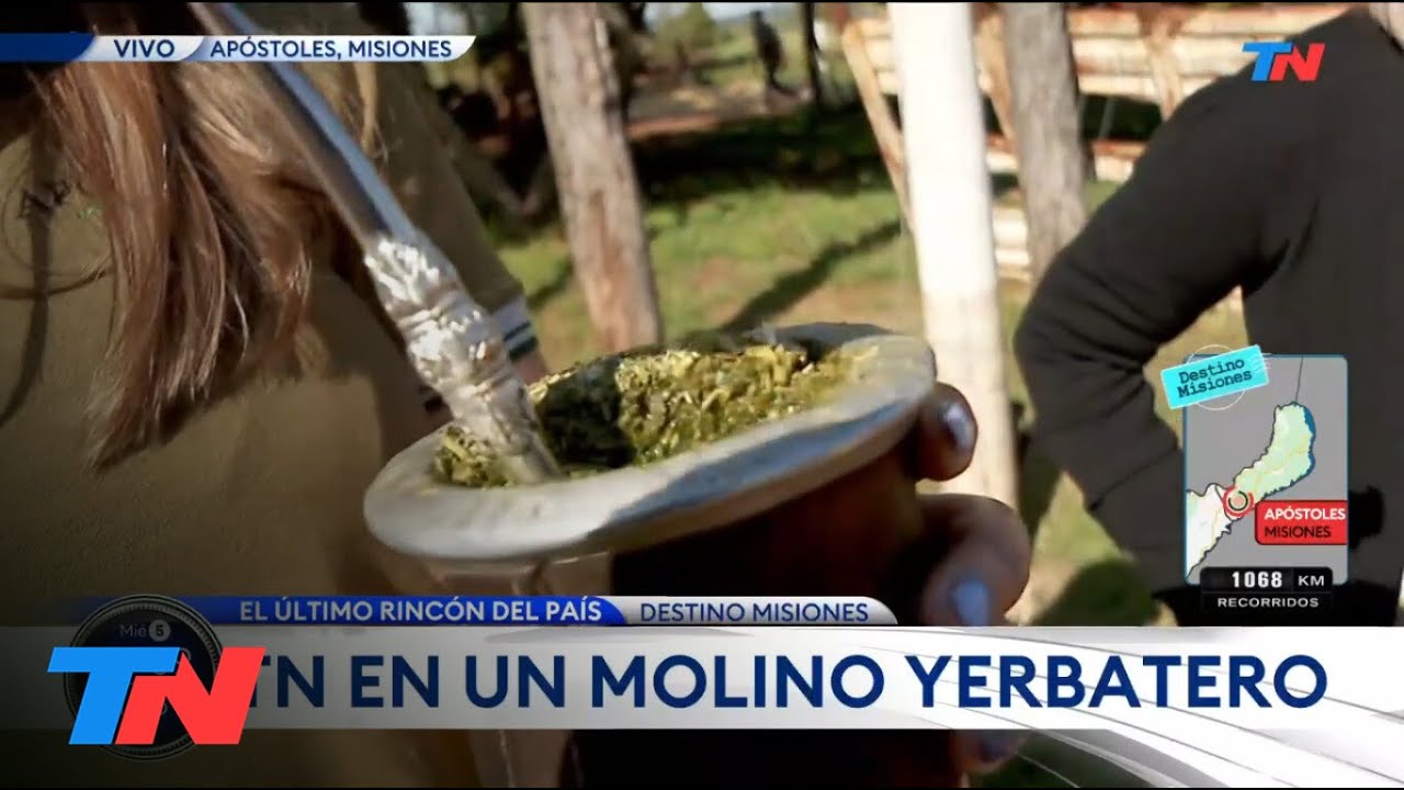 EL ÚLTIMO RINCÓN DEL PAÍS I TN EN MISIONES: Paula Bernini en Apóstoles, la capital de la yerba mate