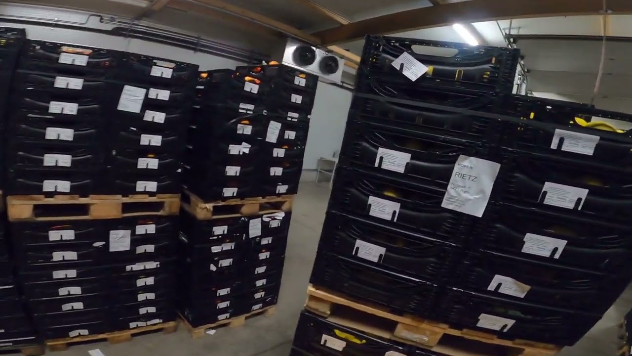 Truck Loading - Forklift Ameise