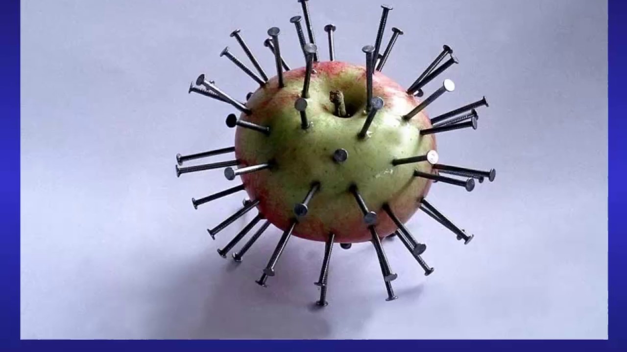 Železo - metabolismus, regulace, úloha ve zdraví a nemoci