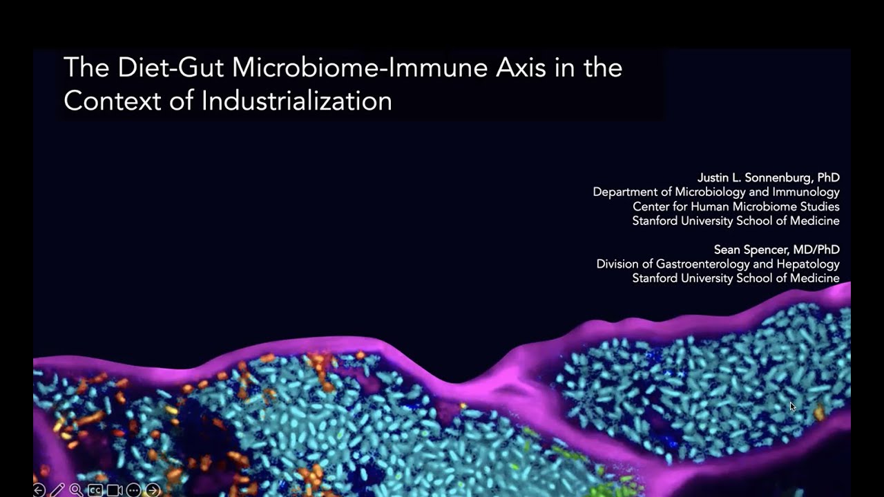 The Diet Gut Microbiome Immune Axis in the Context of Industrialization