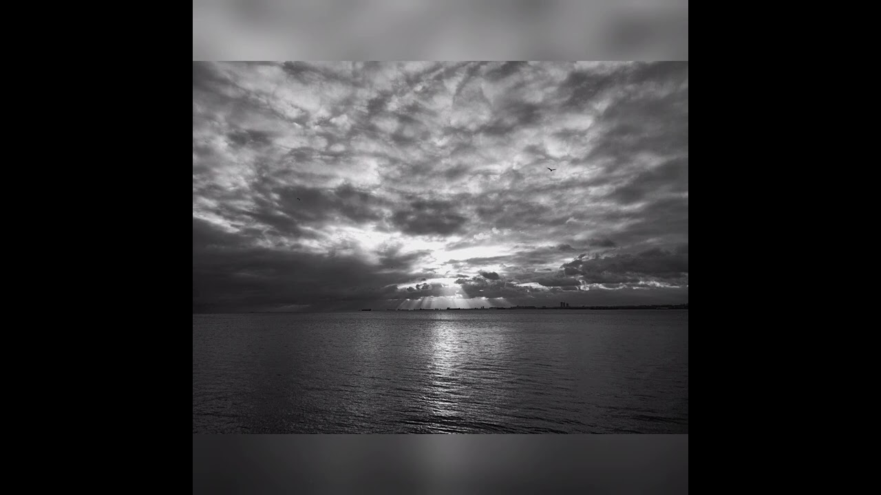 Vas-Refuge