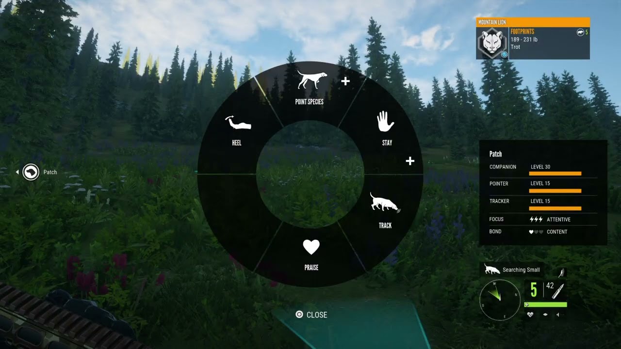 Pointer Dog Tracks 2 Pumas | theHunter: Call of the Wild