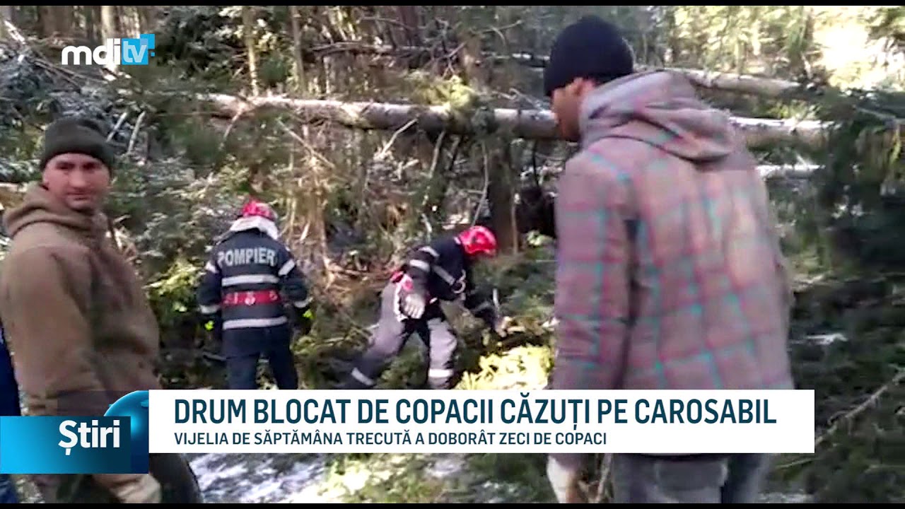drum blocat de copacii cazuti pe carosabil