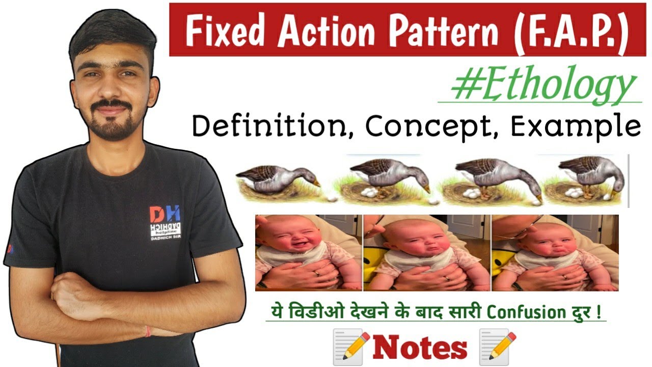 Fixed Action Pattern In Animal Behaviour || Definition, Concept, Examples || By Dadhich Sir