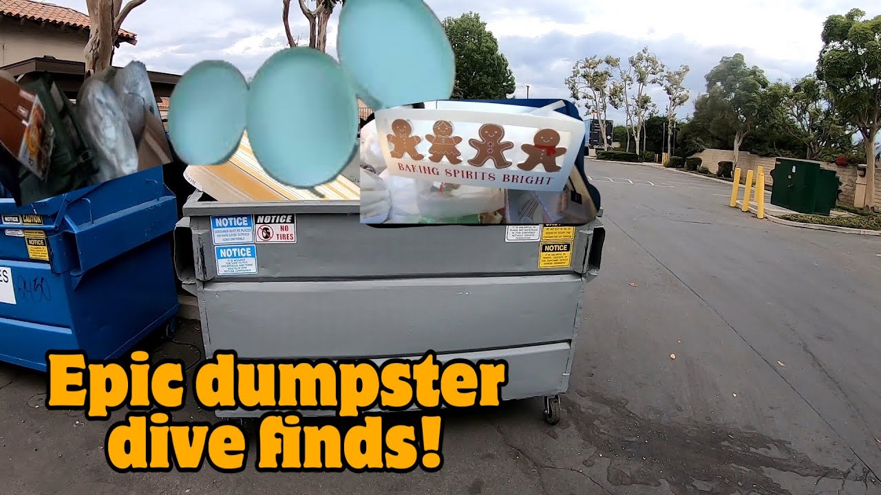 UNBELIEVABLE ! THIS MASSIVE DUMPSTER DIVE HAUL. YOU HAVE TO SEE IT TO BELIEVE IT!