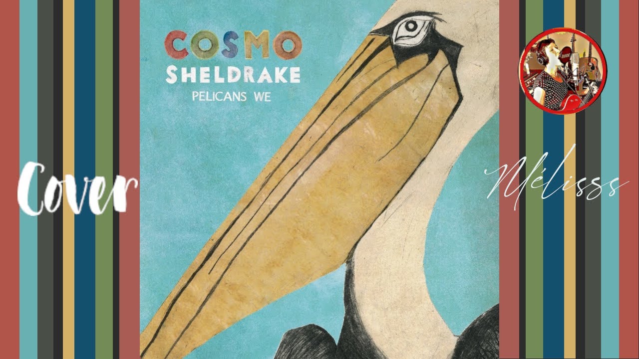 Pelicans We - Cosmo Sheldrake - VOCAL COVER 2023