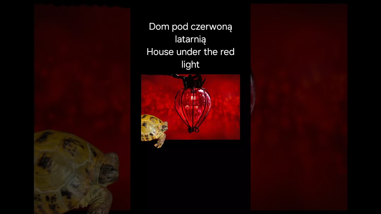 Dom pod czerwoną latarnią. The Red Light House.