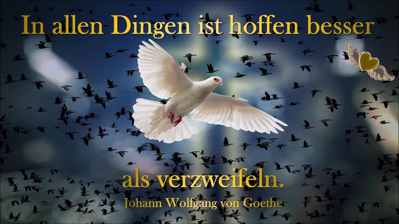 Hoffnungsfunken für dich 🙏
