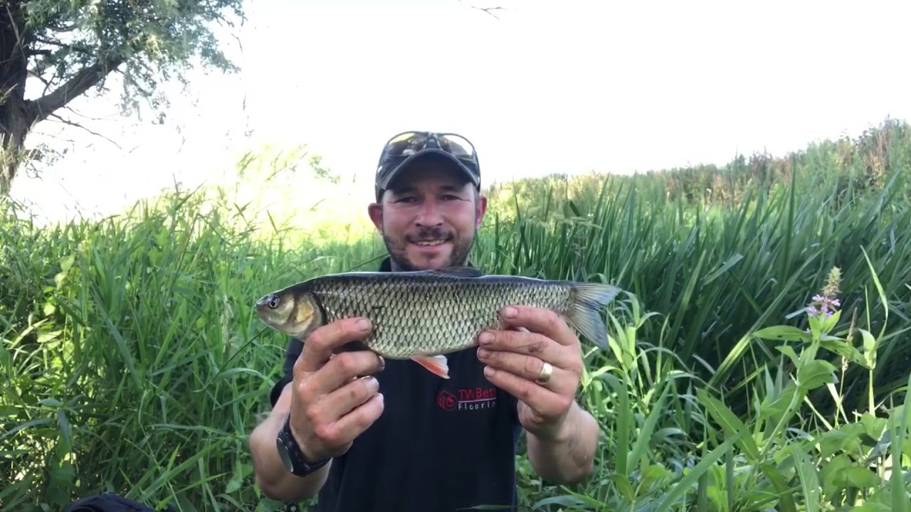 RIVER RODING STANFORD RIVERS BILLERICAY & DISTRICT ANGLING CLUB CHUB FISHING