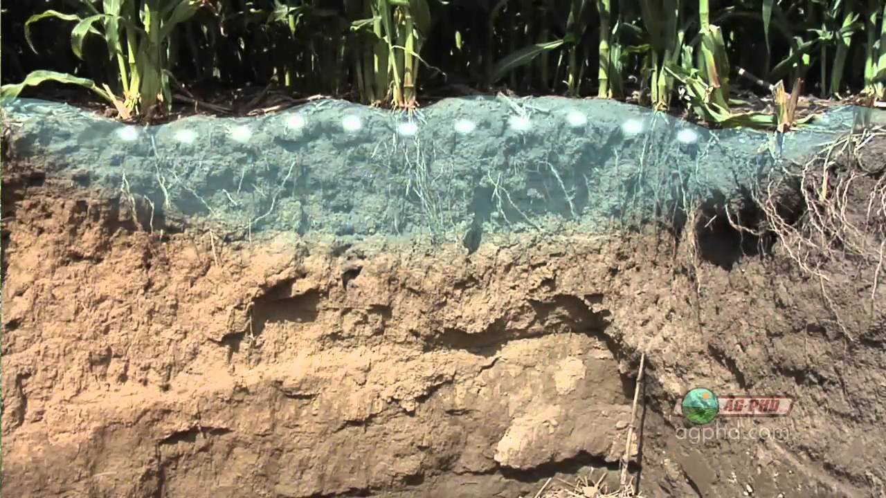 Nitrogen In Soil #650 (Air Date 9/19/10)