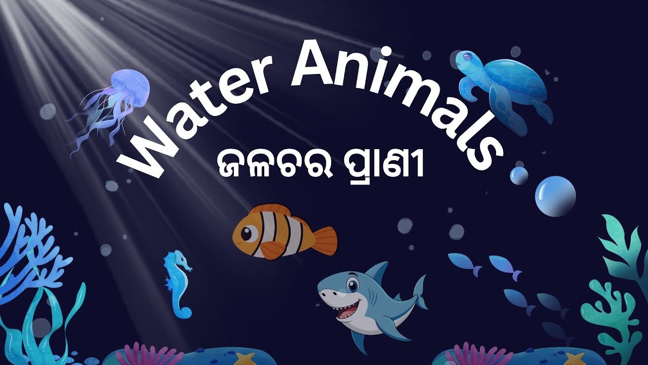 🐠 Water Animals Name in English & Odia | Sea & Freshwater Creatures | Learn Odia Vocabulary 🌊🐬