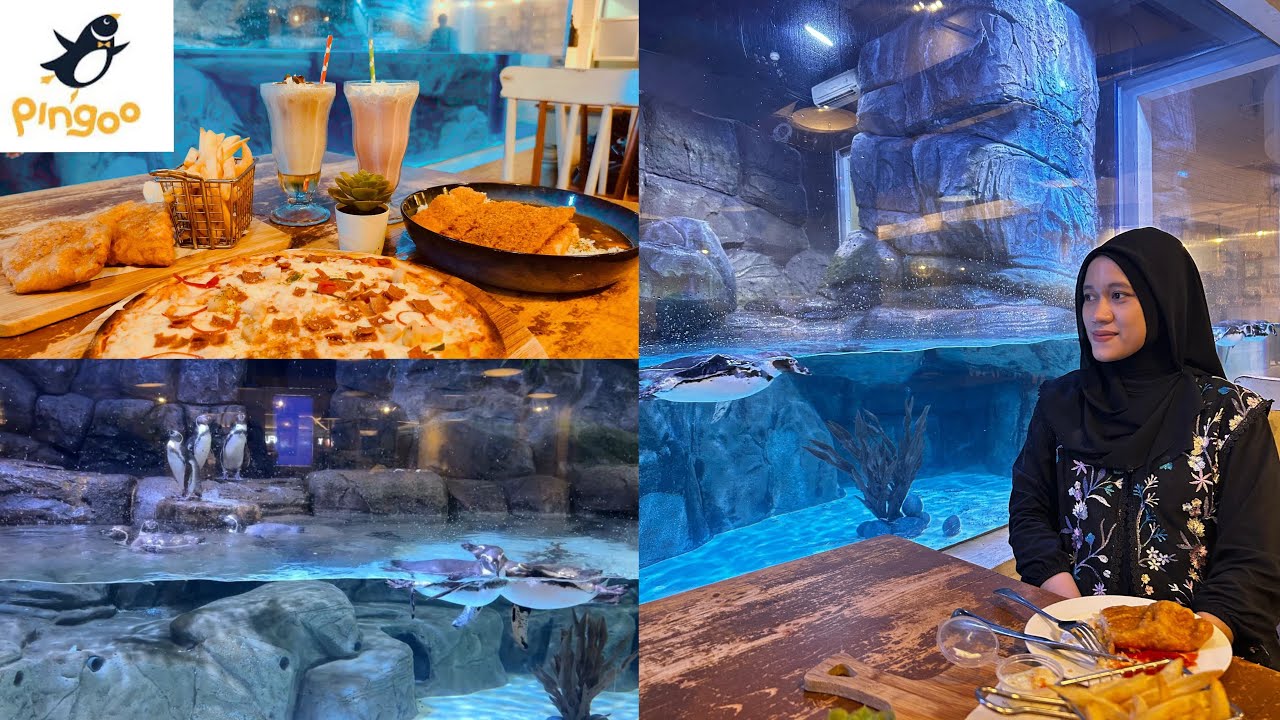 PINGOO RESTAURANT NEO SOHO MALL || PARADE DAN FEEDING PENGUIN