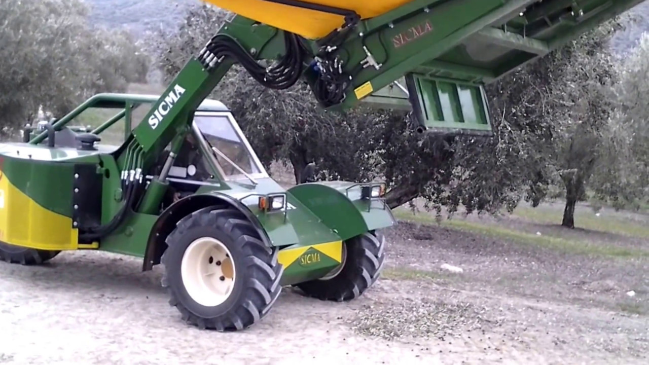 GAMA DE BUGGIES Y VIBRADORES SICMA