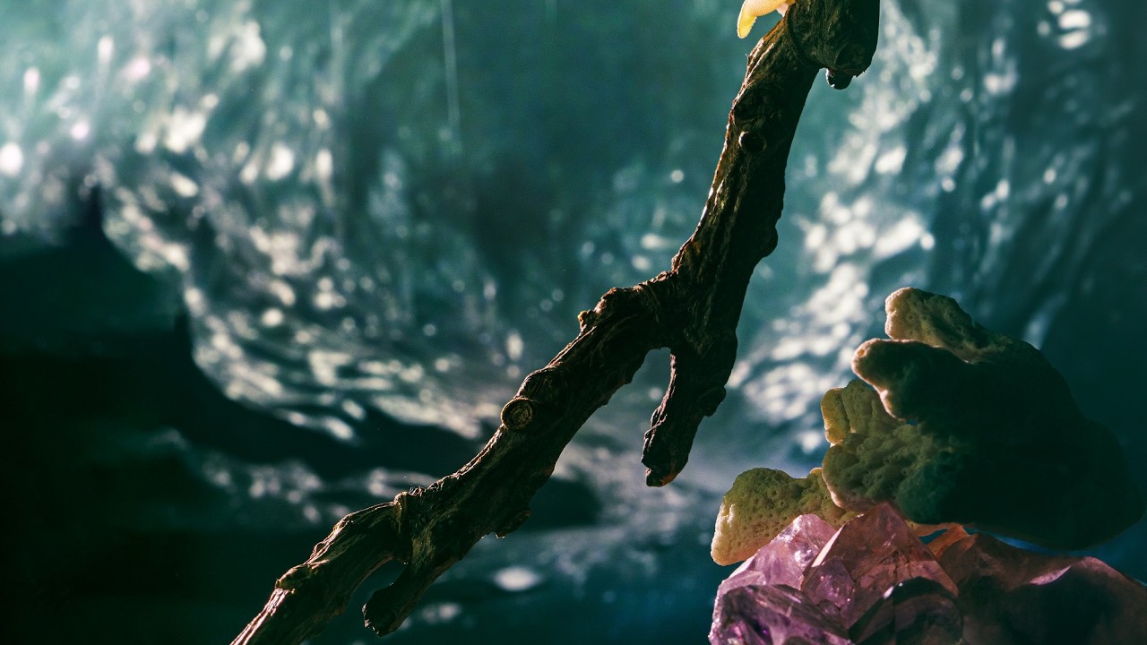 Tannhäuser | Einführungsmatinee