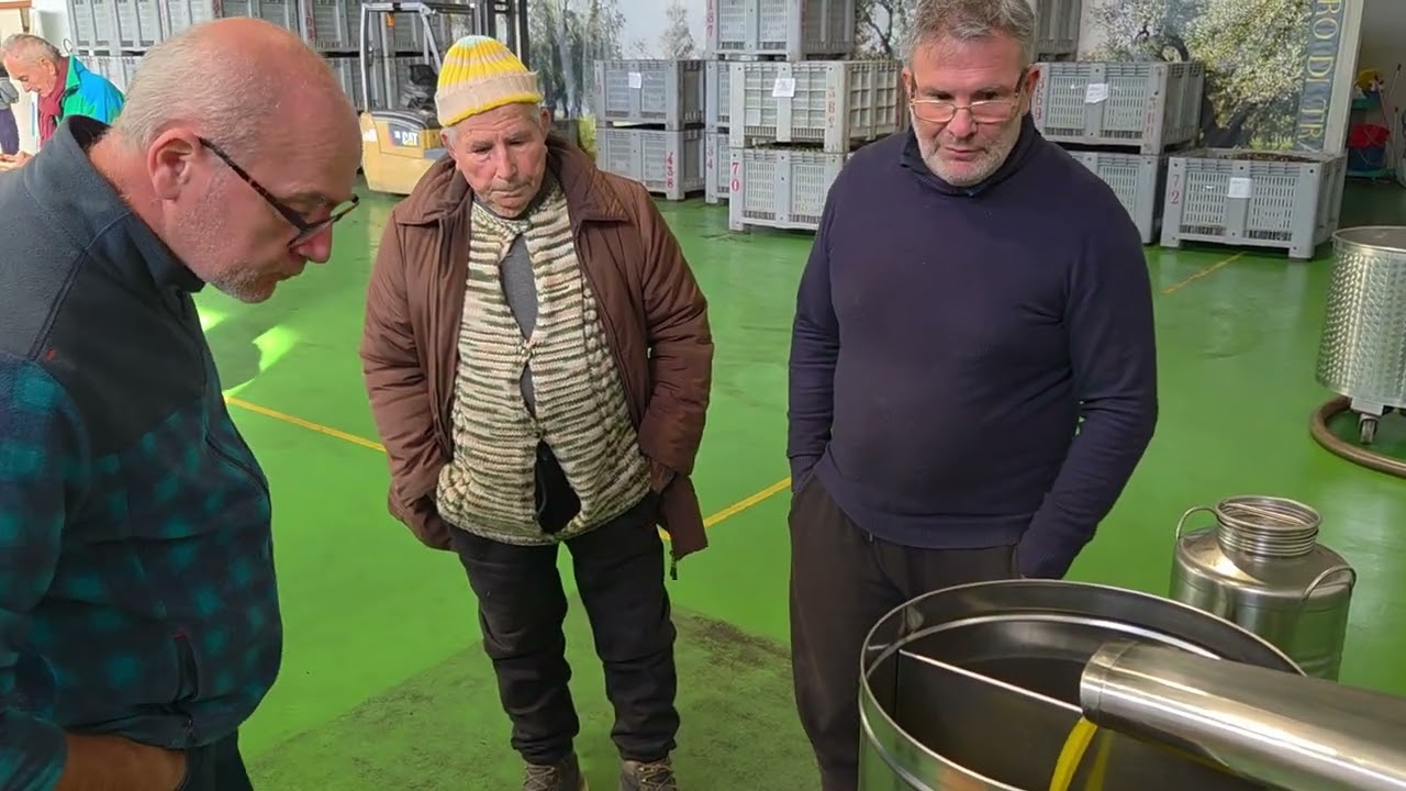 Quantità e qualità, l'olio della Bat fa gola: il racconto di 