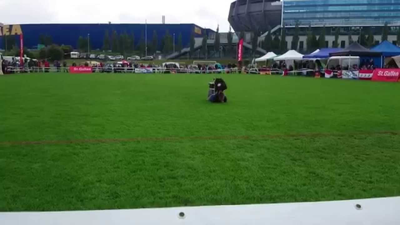 Supertalent(e) Lukas & Falco