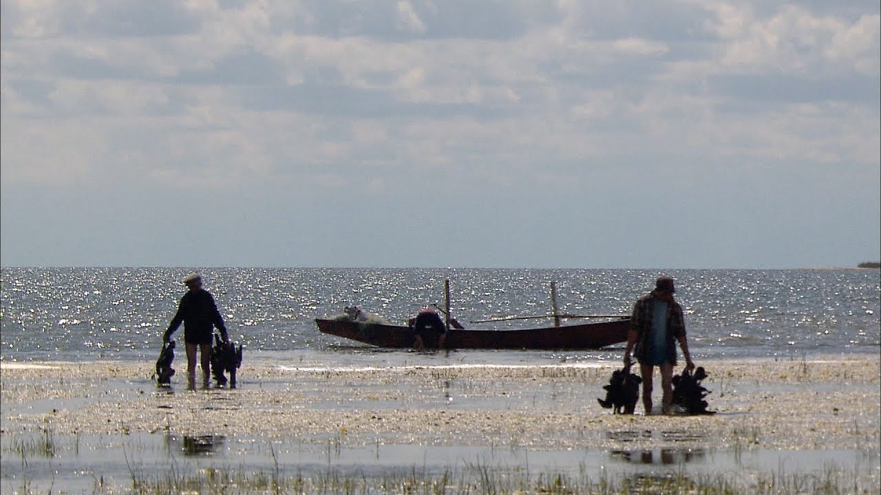 어부들의 가마우지 사냥 (Fishermen who hunt cormorant)